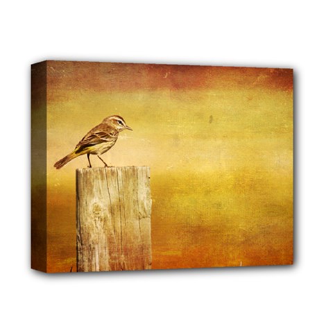 Bird On A Fence Deluxe Canvas 14  X 11  (stretched) by heathergreen