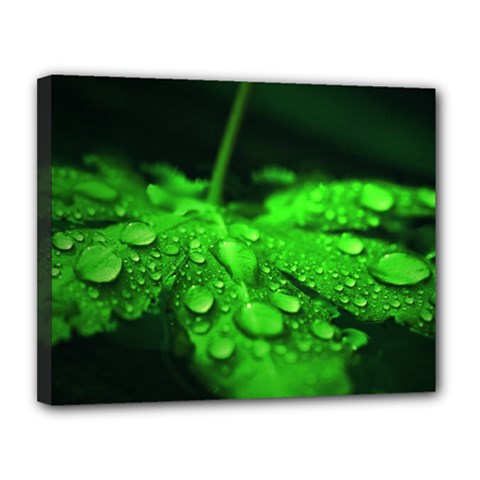 Waterdrops Canvas 14  X 11  (framed) by Siebenhuehner