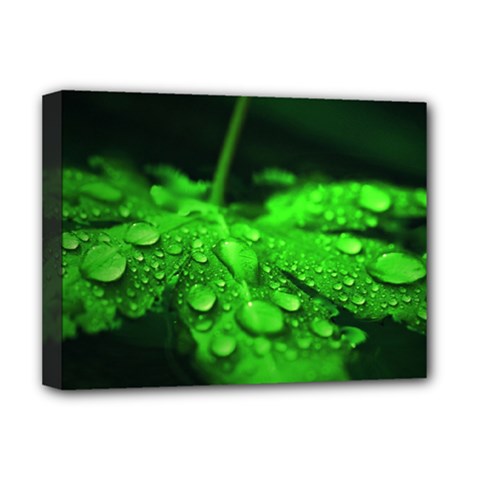 Waterdrops Deluxe Canvas 16  X 12  (framed)  by Siebenhuehner