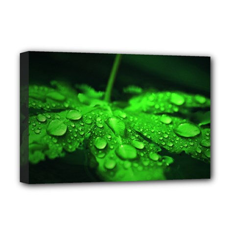 Waterdrops Deluxe Canvas 18  X 12  (framed)