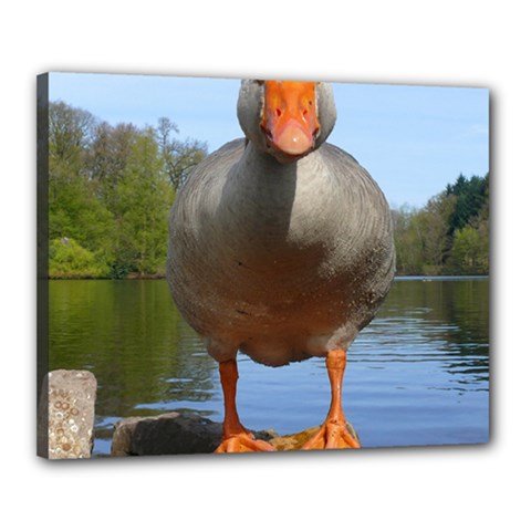 Geese Canvas 20  X 16  (framed) by Siebenhuehner