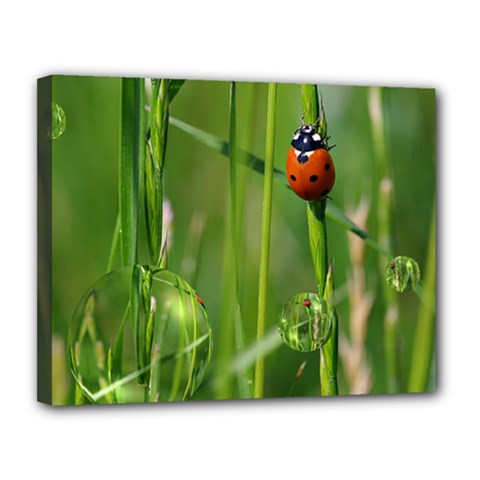 Ladybird Canvas 14  X 11  (framed) by Siebenhuehner