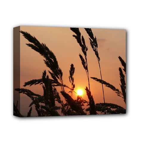 Sunset Deluxe Canvas 14  X 11  (framed) by Siebenhuehner