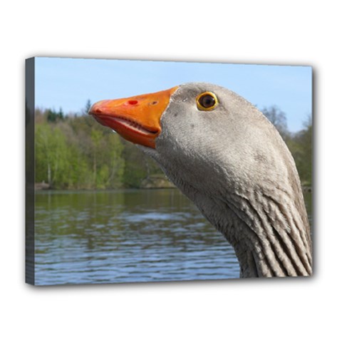 Geese Canvas 16  X 12  (framed) by Siebenhuehner