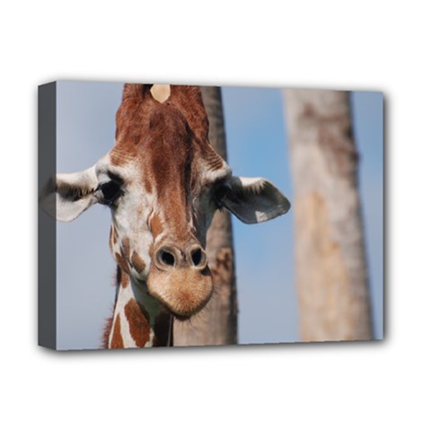 Cute Giraffe Deluxe Canvas 16  X 12  (framed) 