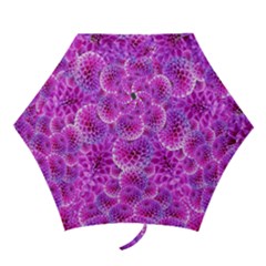 Purple Dahlias Mini Folding Umbrella by FunWithFibro