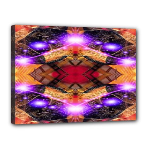 Third Eye Canvas 16  X 12  (framed) by icarusismartdesigns