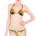 Beautiful Flowers With Leaves On Soft Background Bikini Set View1