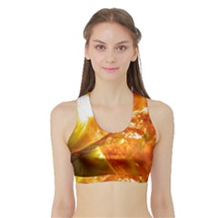 Solar Flare 2 Women s Sports Bra With Border by trendistuff