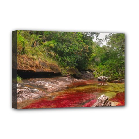 Cano Cristales 1 Deluxe Canvas 18  X 12  