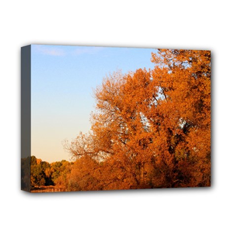 Beautiful Autumn Day Deluxe Canvas 16  X 12  