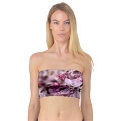 Purple Lilacs Women s Bandeau Tops