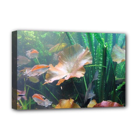 Marine Life Deluxe Canvas 18  X 12   by trendistuff