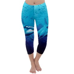 Hammerhead Capri Winter Leggings  by trendistuff