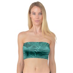 Tropical Hawaiian Print Bandeau Top