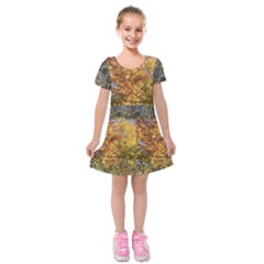 Vermont Leaves Kids  Short Sleeve Velvet Dress by SusanFranzblau