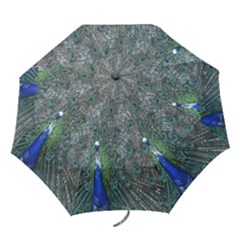 Peacock Four Spot Feather Bird Folding Umbrellas by Nexatart