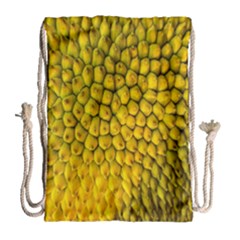 Jack Shell Jack Fruit Close Drawstring Bag (large) by Amaryn4rt