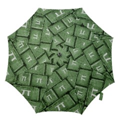 Pi Grunge Style Pattern Hook Handle Umbrellas (medium) by dflcprints