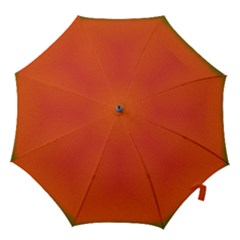 Scarlet Pimpernel Writing Orange Green Hook Handle Umbrellas (large) by Mariart