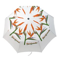 Bird Of Paradise Folding Umbrellas by Valentinaart