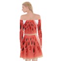 Piece Of Watermelon Off Shoulder Skater Dress View2