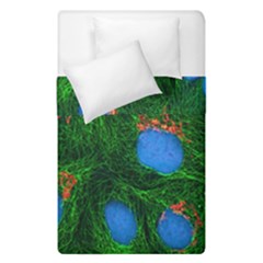 Fluorescence Microscopy Green Blue Duvet Cover Double Side (single Size) by Mariart