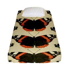 Butterfly Butterflies Insects Fitted Sheet (single Size) by BangZart