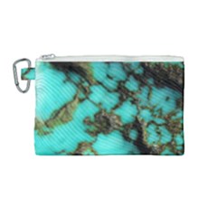 Turquoise Canvas Cosmetic Bag (medium) by greenthanet