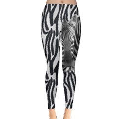 Dark Gray Zebra Print Leggings  by PattyVilleDesigns