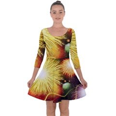 Celebration Colorful Fireworks Beautiful Quarter Sleeve Skater Dress