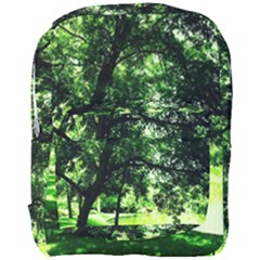 Lake Park 17 Full Print Backpack by bestdesignintheworld