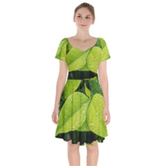 Leaf Green Foliage Green Leaves Short Sleeve Bardot Dress by Simbadda