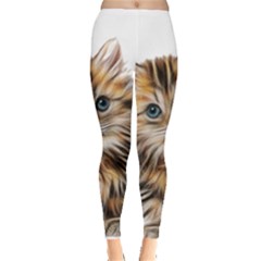 Kitten Mammal Animal Young Cat Leggings  by Simbadda