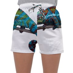 Reptile Lizard Animal Isolated Sleepwear Shorts by Sapixe