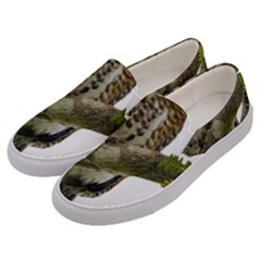 Owl Bird Men s Canvas Slip Ons by Sapixe