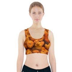 Pumpkins Tiny Gourds Pile Sports Bra With Pocket by bloomingvinedesign