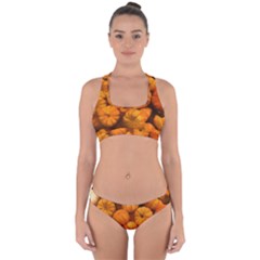 Pumpkins Tiny Gourds Pile Cross Back Hipster Bikini Set by bloomingvinedesign