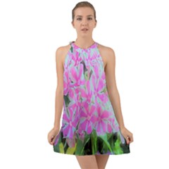 Hot Pink And White Peppermint Twist Garden Phlox Halter Tie Back Chiffon Dress