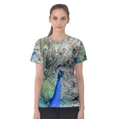 Peacock Bird Colorful Plumage Women s Sport Mesh Tee