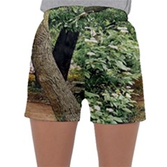 Garden Of The Phoenix Sleepwear Shorts by Riverwoman