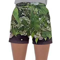 Garden Of The Phoenix  Sleepwear Shorts by Riverwoman