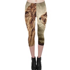 Roaring Lion Capri Leggings  by Sudhe