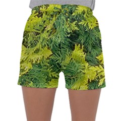 Garden Of The Phoenix Sleepwear Shorts by Riverwoman