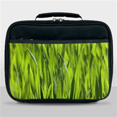 Agricultural Field   Lunch Bag by rsooll