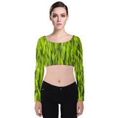 Agricultural Field   Velvet Long Sleeve Crop Top