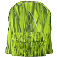 Agricultural Field   Giant Full Print Backpack by rsooll