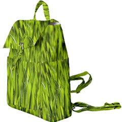 Agricultural Field   Buckle Everyday Backpack by rsooll