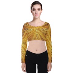 Electric Field Art Xxvi Velvet Long Sleeve Crop Top