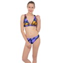 Primary Color Queen Anne s Lace Classic Banded Bikini Set  View1